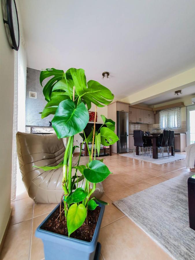Olympian Two Floor Apartment Лептокария Екстериор снимка